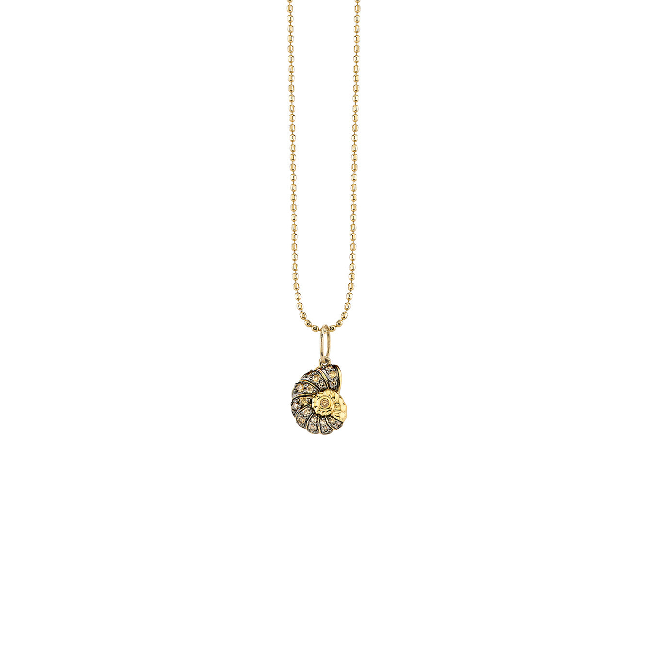 Shop Sydney Evan 14k Gold & Diamond Nautilus Shell Charm