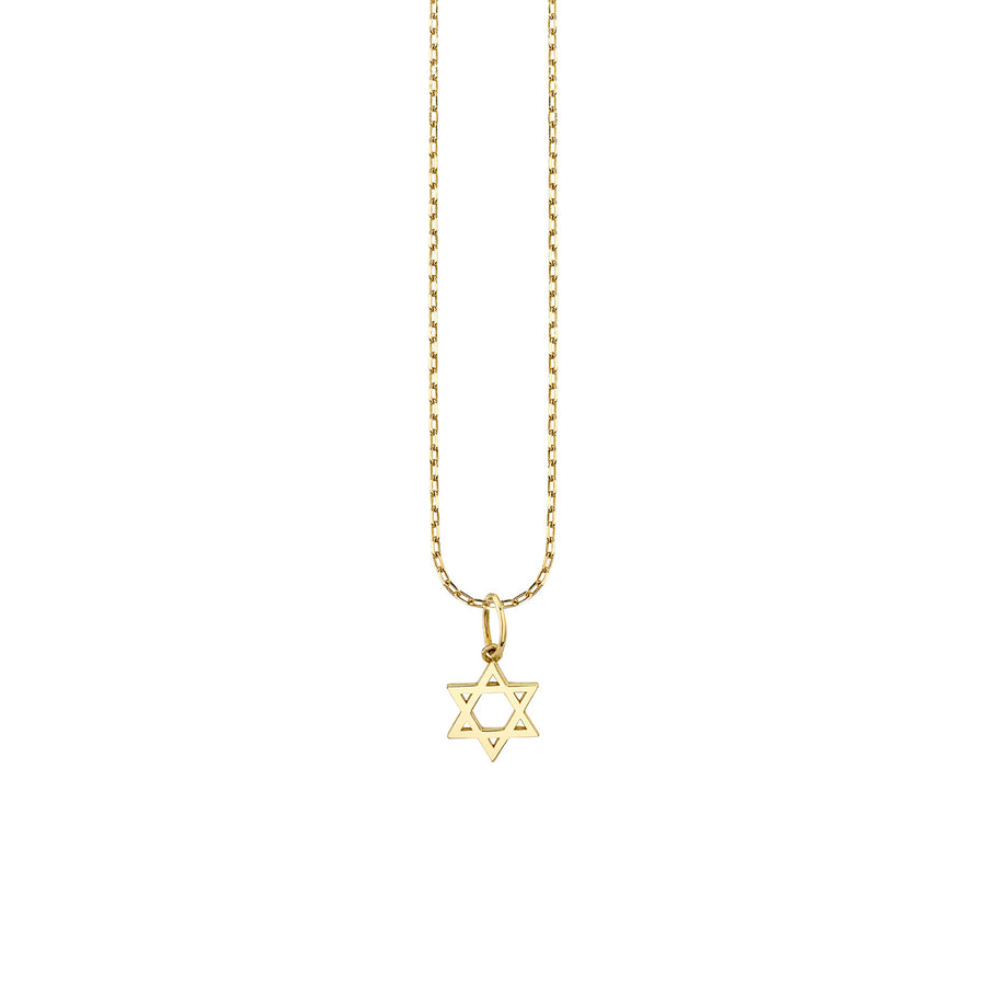 Pure Gold Tiny Star Of David Charm - Sydney Evan Fine Jewelry