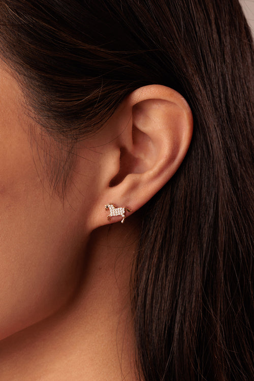 Gold & Diamond Horse Stud