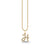 Gold & Diamond Large Initial Charm Necklace