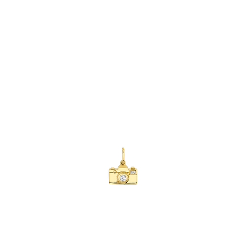 Gold & Diamond Camera Charm