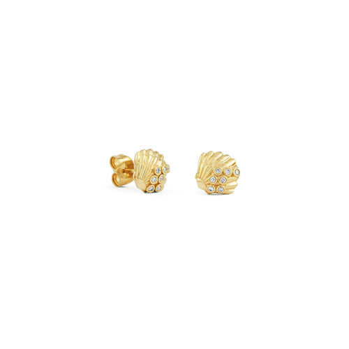 Gold & Diamond Clam Shells Stud