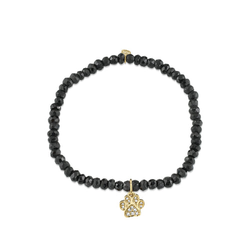 Gold & Diamond Paw on Black Spinel