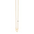 Gold Plated Sterling Silver Zodiac Necklace with Bezel Set Diamond