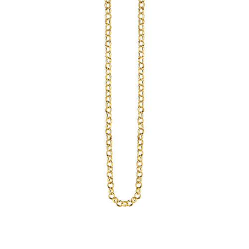 14k Gold Rolo Chain