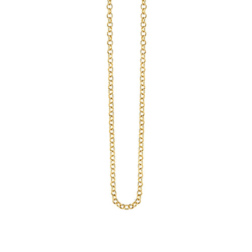14k Gold Small Rolo Chain