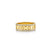 Gold & Diamond Icon Ring Band